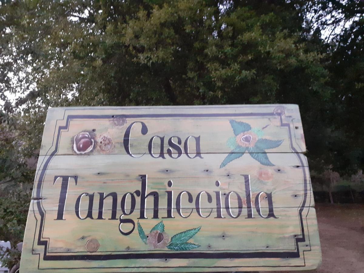 Casa Tanghicciola Apartment Levie Ngoại thất bức ảnh